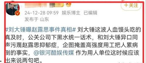 刘大锤最新爆料后续视频,揭秘事件背后惊人真相
