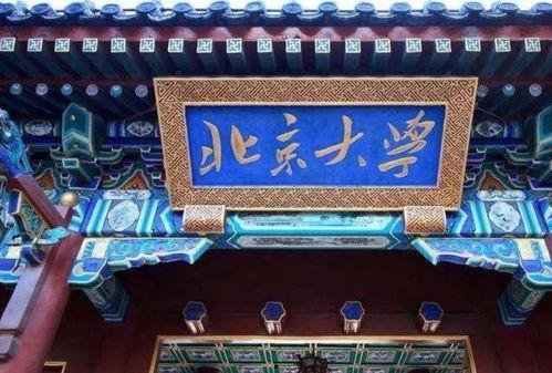 北大魔王最新爆料,最新爆料背后的惊人真相