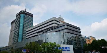 宁波金吉鸟最新爆料,揭秘企业创新与发展新动向