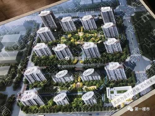 肥西楼市爆料最新消息,揭秘房价走势与热门项目！