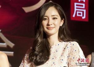 杨幂陈学冬最新爆料,揭秘娱乐圈背后的惊人真相